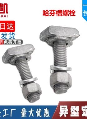 哈芬槽螺栓玻璃幕墙用T型螺栓3823 5025 5234槽用螺丝M12M16M20