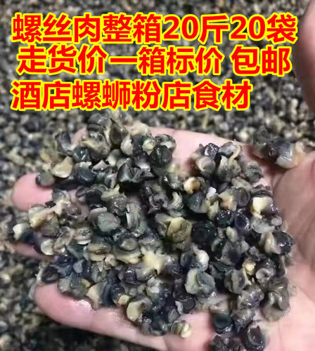 野生新鲜冷冻螺肉螺丝肉