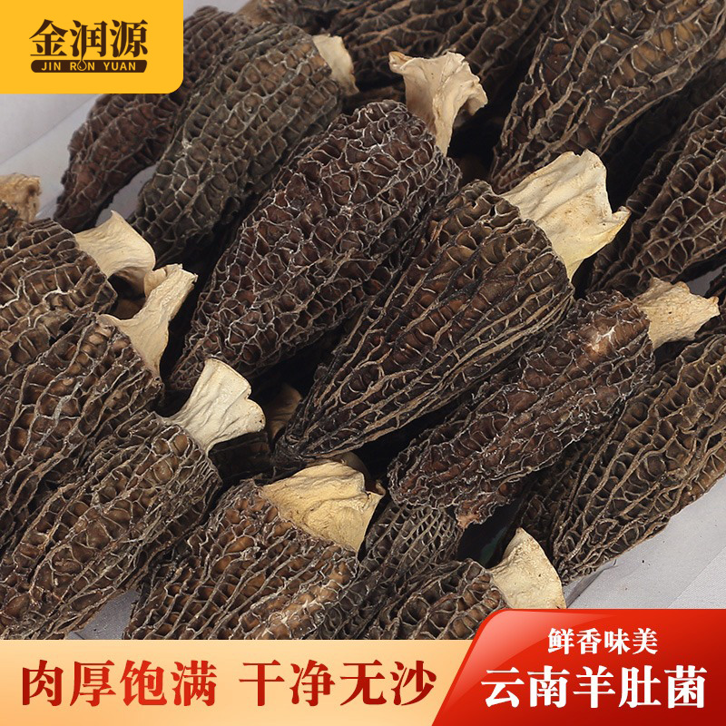 云南特产新鲜营养菇类羊肚菌干货