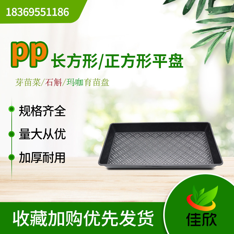 芽苗菜种植盘石斛盘玛卡玛咖盘牧草水稻育秧盘长正方形小黑方托盘