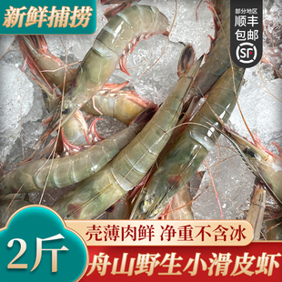 新鲜滑皮虾 冷冻条虾鲜活野生海鲜活皮虾呛虾 小号 约100多个1斤