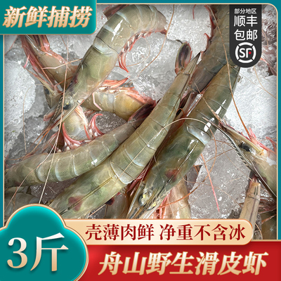 舟山新鲜青壳滑皮虾条虾鲜活速冻野生海鲜活皮虾呛虾 3斤 小号