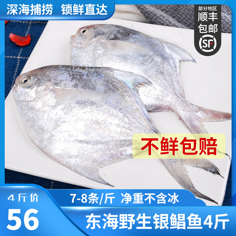 鲳鱼新鲜冷冻银鲳鱼舟山白鲳鱼平鱼鲳鳊鱼仓鱼小昌鱼烧烤 4斤装_虎窝淘