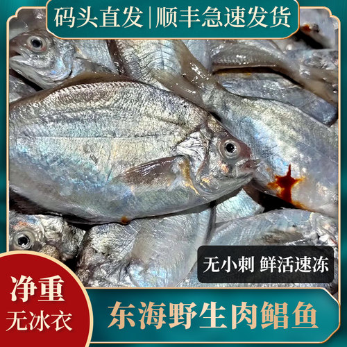 正宗肉鲳鱼新鲜冷冻顺丰包邮