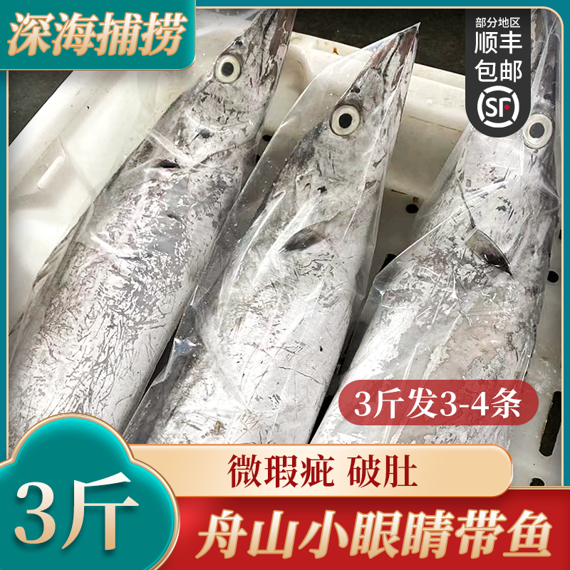 新鲜冷冻带鱼大号单条约1斤左右