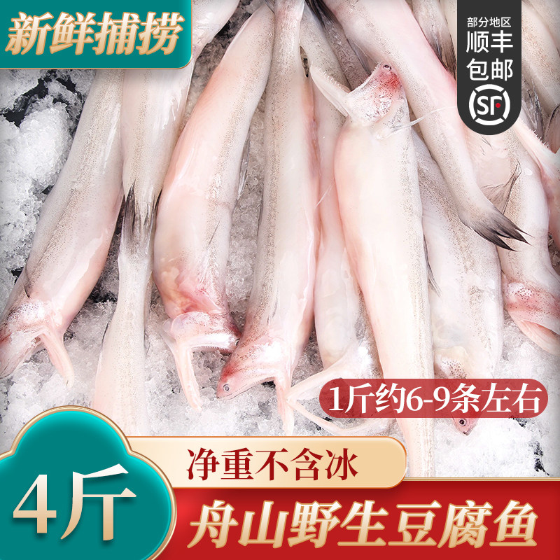 舟山特产新鲜龙头鱼豆腐鱼冷冻海鲜野生九肚鱼食水潺鱼4斤,水产肉类/新鲜蔬果/熟食,龙头鱼/豆腐鱼,淘宝优惠券,粉丝福利购,淘宝优惠卷