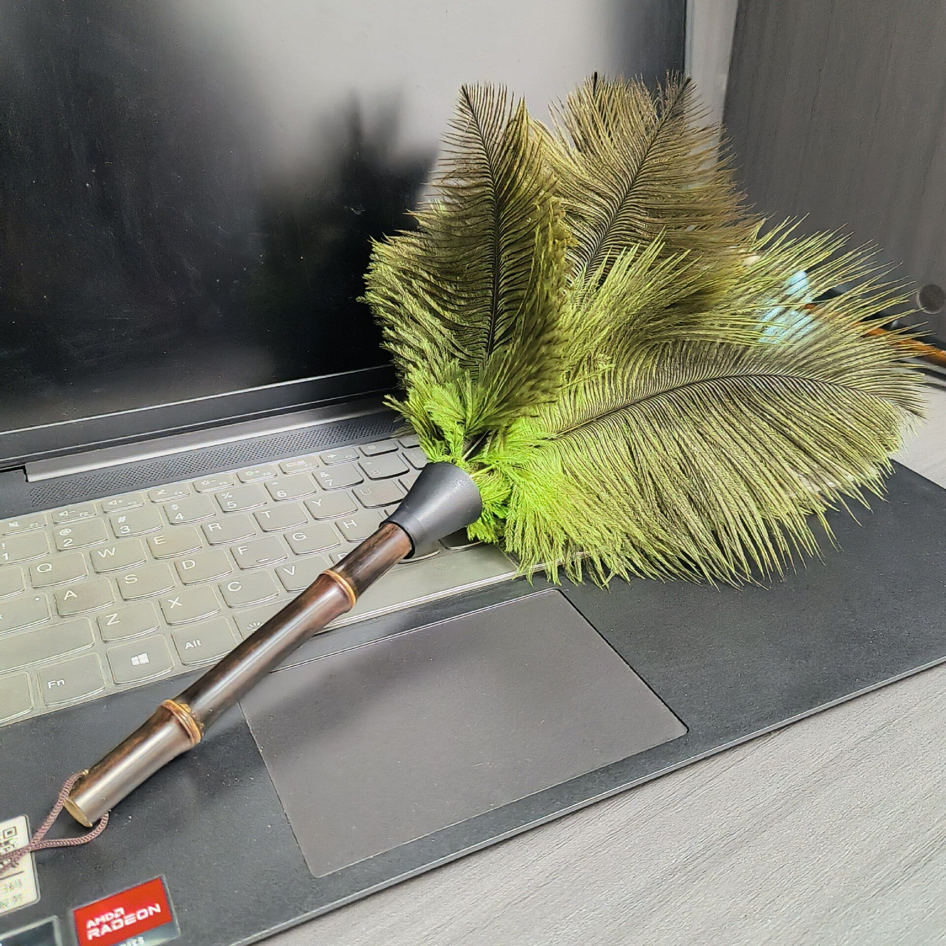 短款鸵鸟毛掸子刷家用除