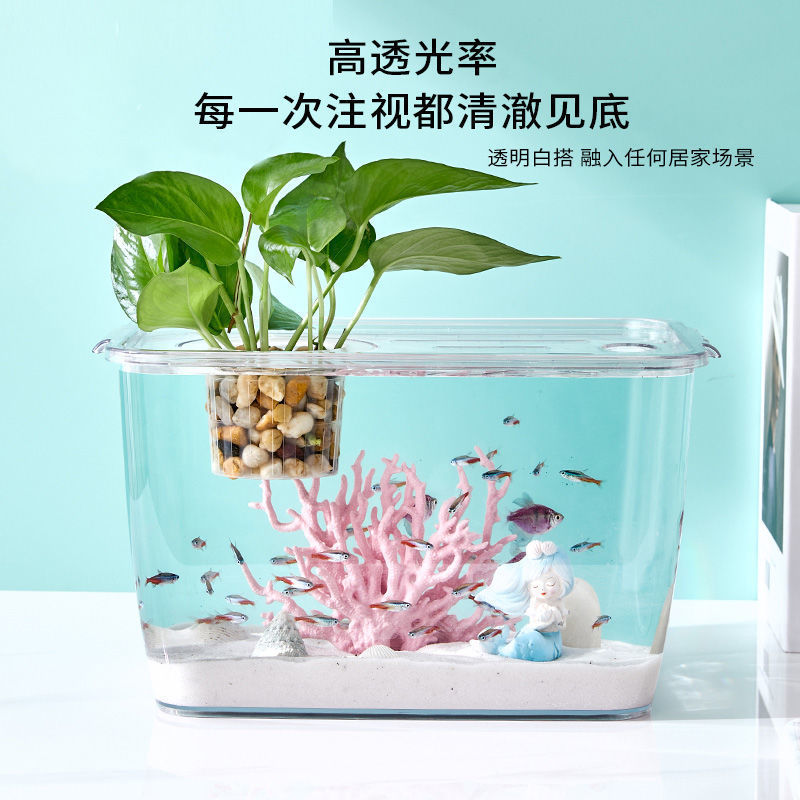 家用鱼缸中小型生态造景