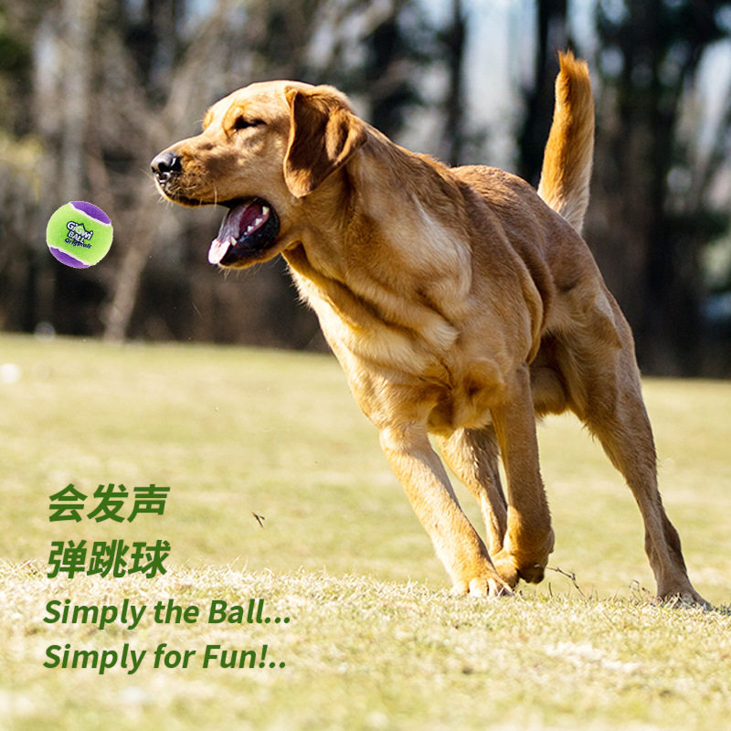 GiGwi狗狗玩具球发声网球
