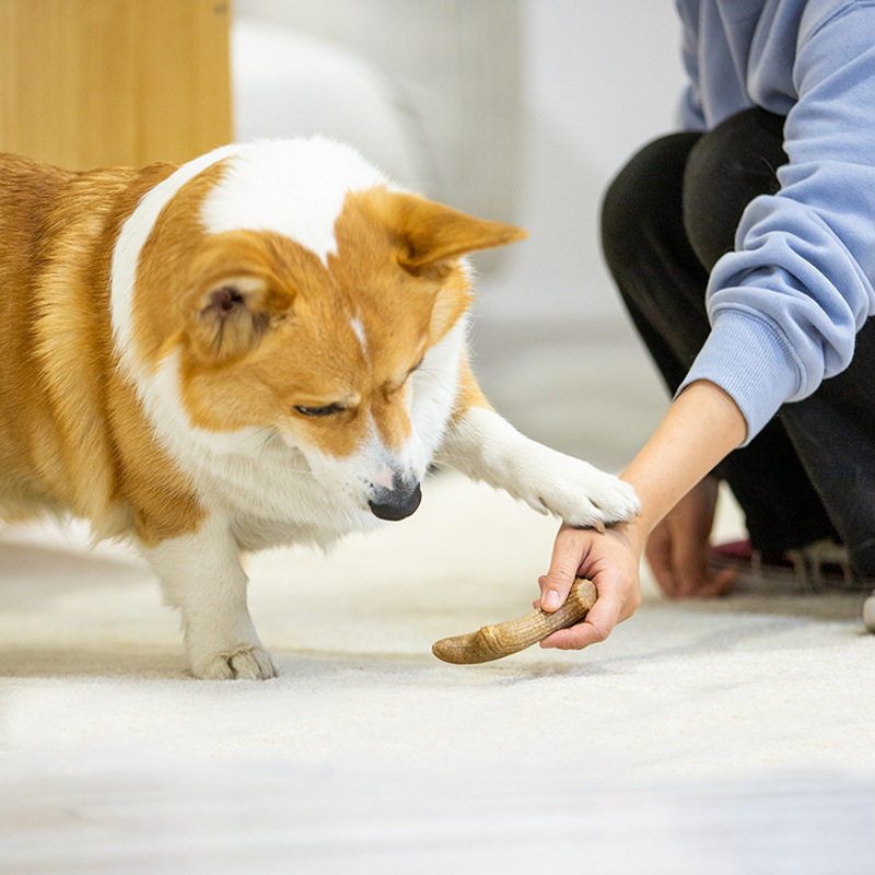 GiGwi狗狗木塑玩具磨牙棒