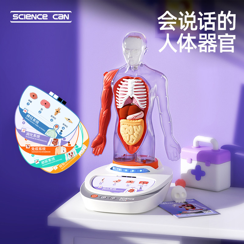 科学罐头人体解剖模型器官可拆卸科教玩具身体语音百科儿童礼物