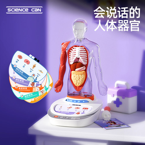 罐头器官身体语音解剖模型可拆卸