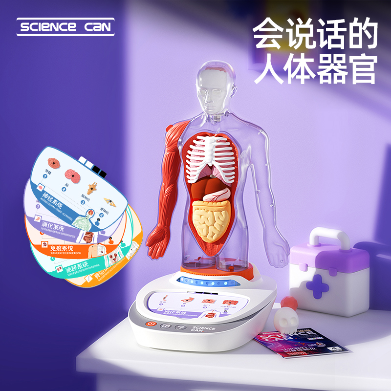 科学罐头人体解剖模型