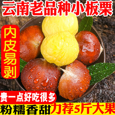 板栗新鲜大果力荐5斤包邮