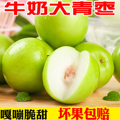牛奶大青枣大果（8个）脆甜多汁