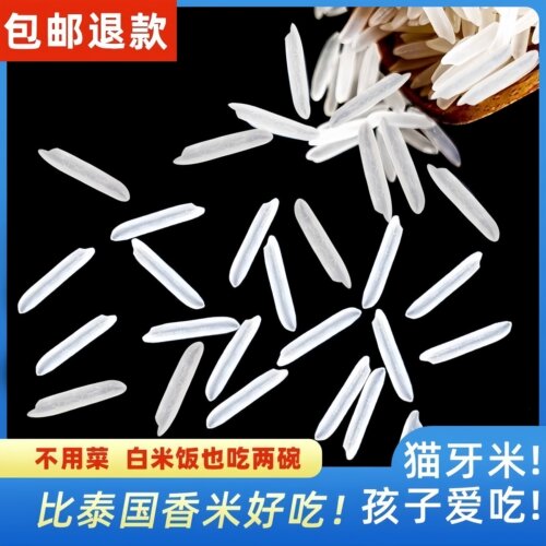 猫牙米猫牙米长粒香米