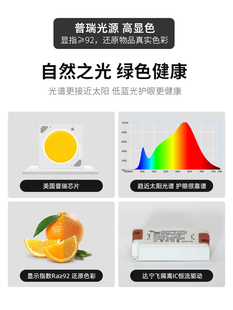 Led轨道射灯商业商店家居展厅服装商店110V电压高显示流明轨道灯