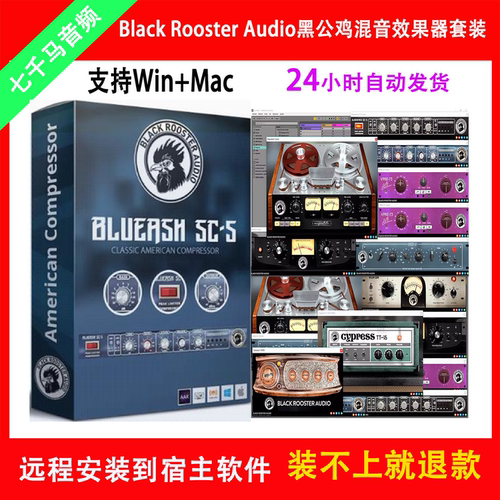Black Rooster Audio黑公鸡混音效果器套装硬件模拟插件Win/Mac