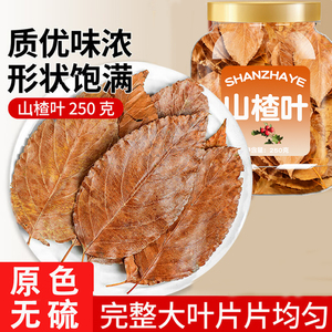 广西山楂叶茶500克中药材
