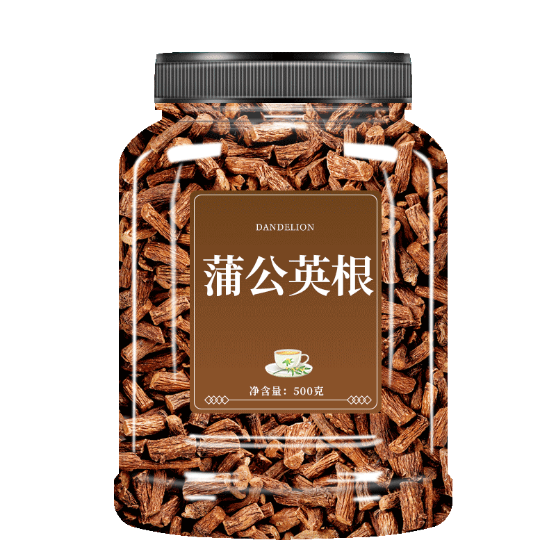 新鲜长白山蒲公英正品特级野生