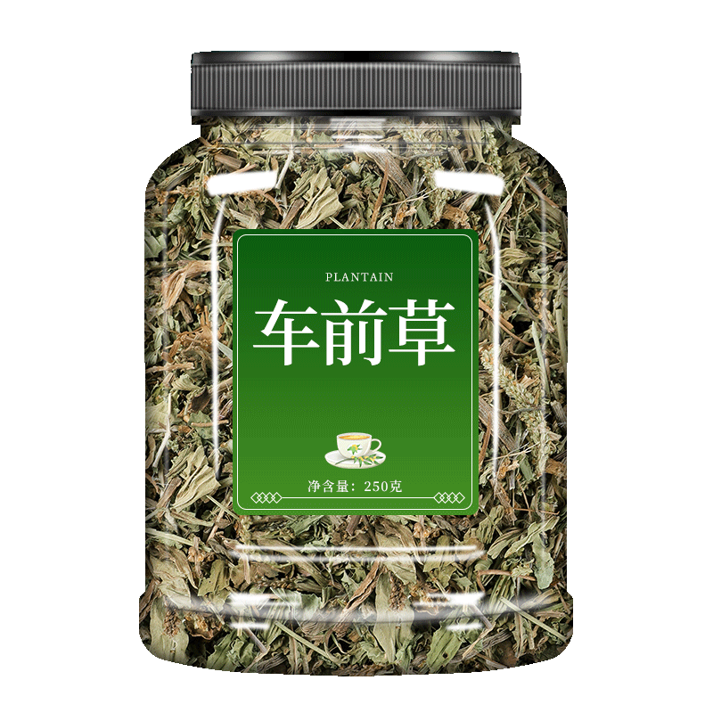 车前草干货中药野生新鲜泡茶凉茶