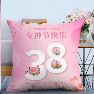 妇联总工会三八妇女节关爱妇女女神节宣传实用礼品抱枕靠枕定制