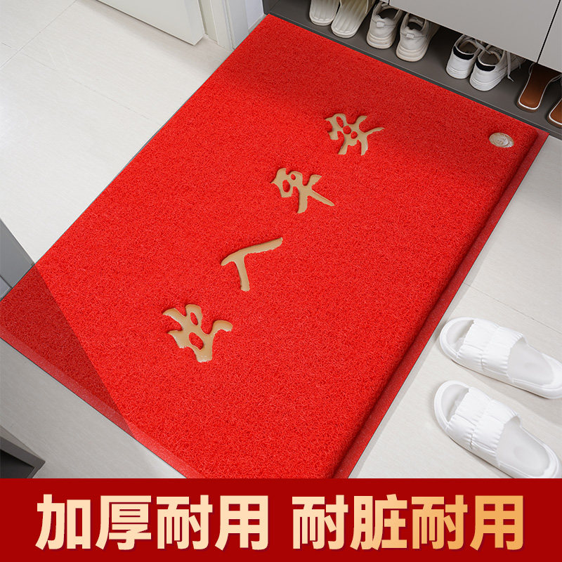 丝圈地垫进门出入平安防滑除尘门垫入户玄关门口家用塑料地毯定制_虎窝淘