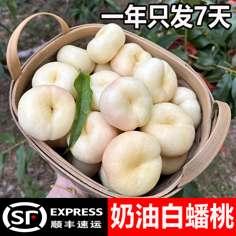 奶油白蟠桃新鲜水果当季整箱蒙阴蜜桃应季桃子新鲜脆桃油蟠桃