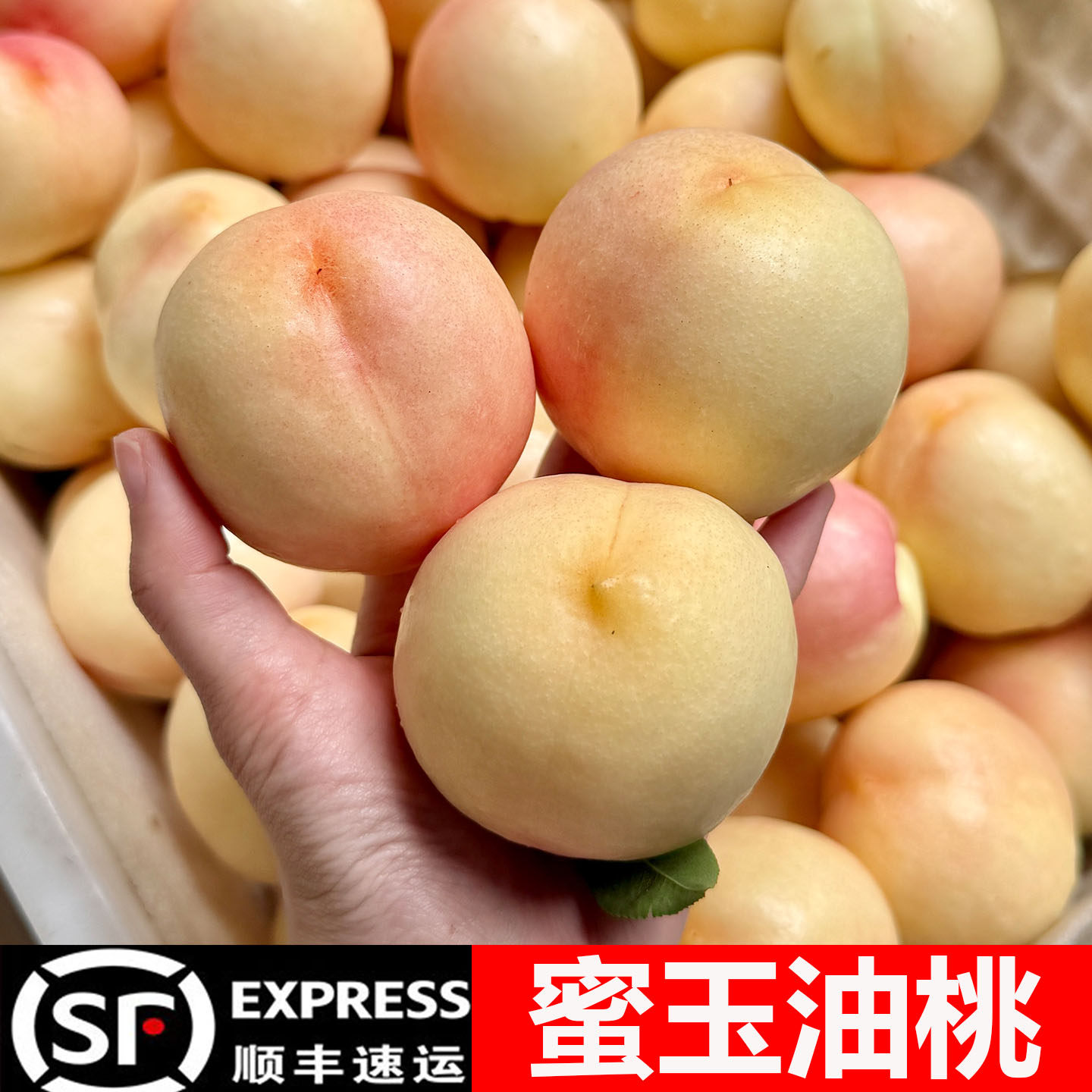 蜜玉油桃新鲜水果当季整箱蒙阴蜜桃白油桃孕妇水果易软桃子新鲜
