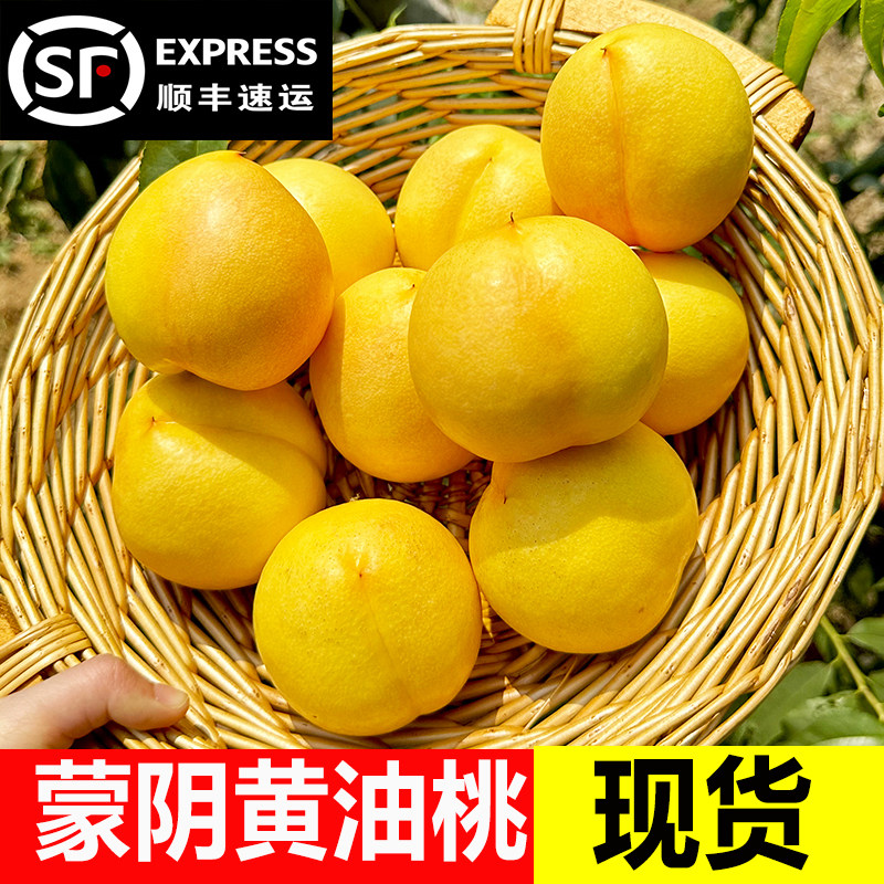 黄油桃新鲜水果整箱当季山东蒙阴黄桃黄金油桃桃子新鲜黄心黄肉