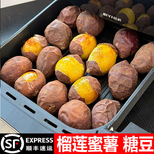 正宗榴莲蜜薯玛莎莉红薯新鲜地瓜粉糯黄心山芋新鲜番薯烤红薯