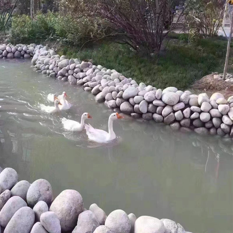 厂家供应园林造景铺路用普通河卵石鹅卵石公园花池用石头