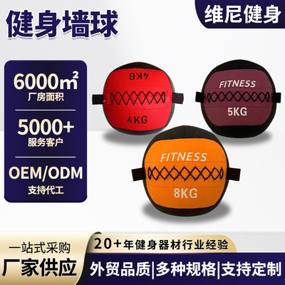 HYROX墙球运动软药球深蹲组合球练习平衡训练用非弹力实心重力球