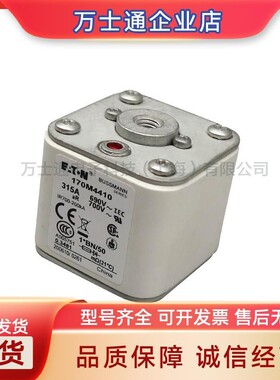 170M4558/4559/4560/456-4564/4565/4566/4567/4568/4569熔断器