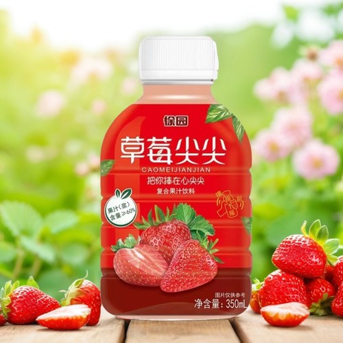 徐园果味北京果汁含量高果汁