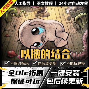 以撒的结合 中文版 全DLC PC电脑单机游戏 Steam 包更新
