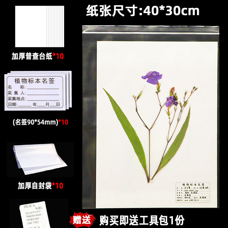 腊叶标本台纸套装采集压制作工具植物标本夹吸水纸普查中药材草药保存夹A4A3卡纸8K标本签生物教学仪器教具