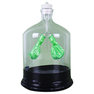 肺呼吸模型材料包膈肌运动模拟器肺与外界的气体交换初中生物装置实验器材制作人体肺部感受呼吸系统器官教具