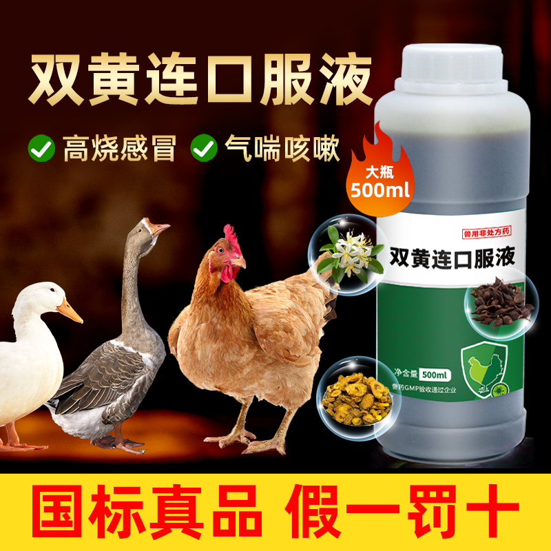 双黄连口服液兽用猪牛羊鸡鸭鹅感冒药禽用清热解毒呼吸道咳嗽兽药