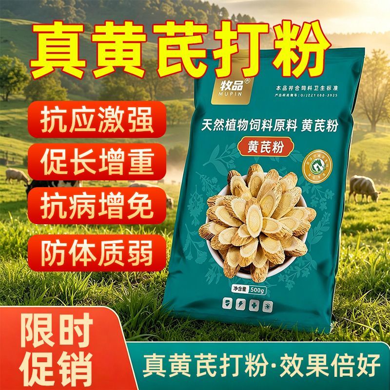 黄芪粉猪牛羊抗病毒催肥增重提高免疫力母猪保健拌料黄芪多糖