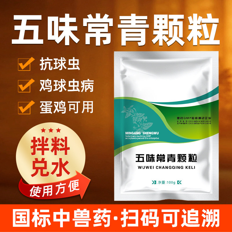 牧品五味常青颗粒禽鸡抗球虫病鸡球虫病蛋鸡精神沉郁水便过料血便