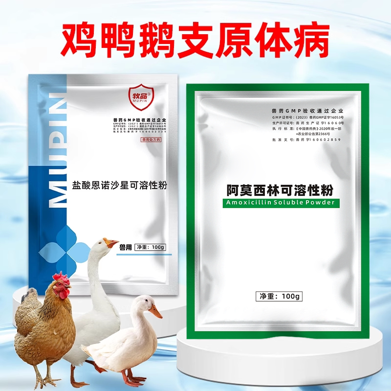 鸡鸭鹅支原体套餐阿莫西林恩诺沙星呼吸道呼噜咳嗽腹泻拉稀兽用药