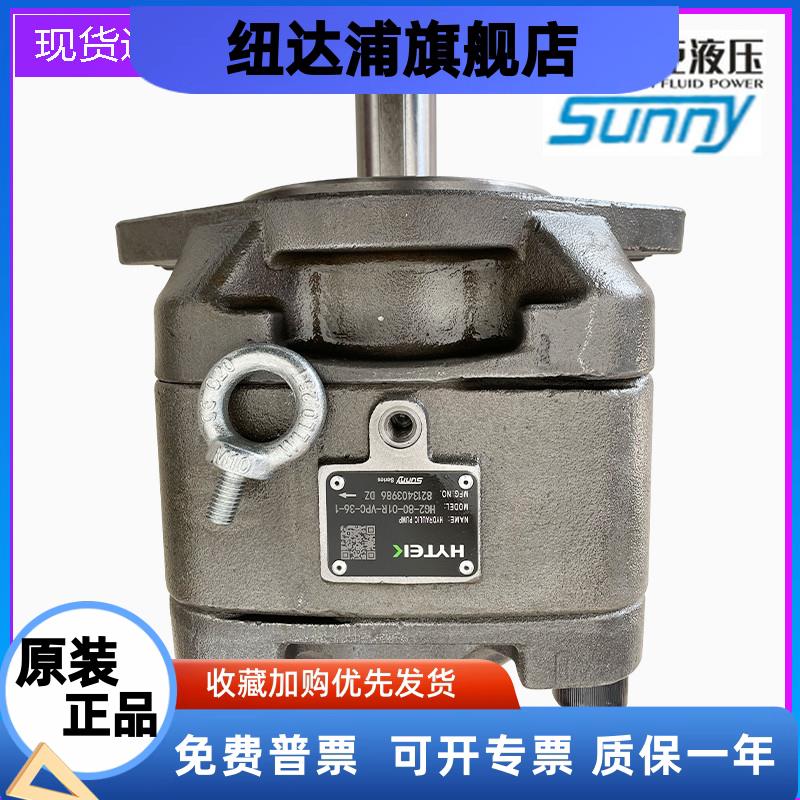 内啮合齿轮泵HG2-80/100/1