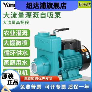 单相三相大流量离心清水自吸泵 阳春水泵 农用浇灌设备配套增压泵