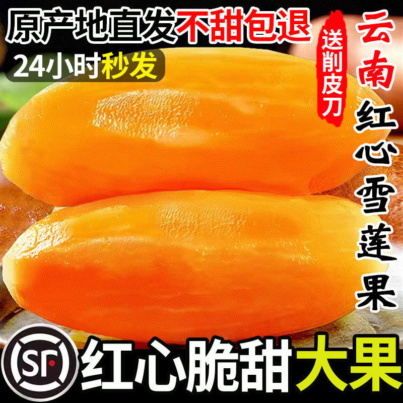 正宗云南红心雪莲果新鲜现挖10斤特一级整箱当季水果黄天山雪莲果,水产肉类/新鲜蔬果/熟食,雪莲果,淘宝优惠券,粉丝福利购,淘宝优惠卷