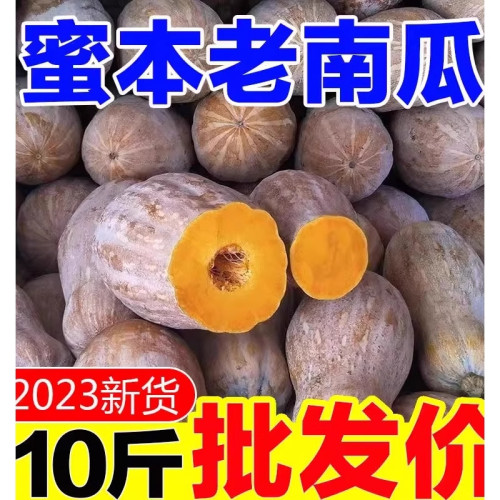 【甜】云南老南瓜香甜粉面当季现摘农家自种密本红肉长南瓜老品种