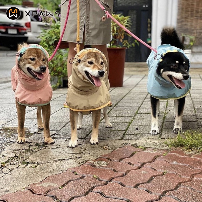 XPAWS狗狗雨衣网红风中小型柯基
