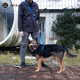 XPAWS宠物解放双手牵引绳 狗狗跑步柴犬遛狗绳可调节狗链中小型犬