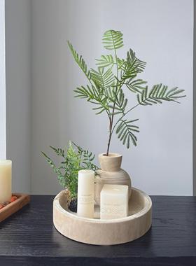 侘寂风绿植软装造景套餐木质托盘花盆桌面装饰摆件玄关圆形果盘