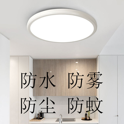 卫生间防蚊虫厨房过道阳台吸顶灯